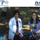 Southern Veterinary Partners