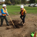 Ginkgo tree planting at the new addition