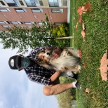 Safari my 17 year old sheltie - as a vet tech for 47 years and daily careful attention to Safari