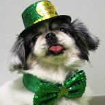 Violet's St. Patrick's Day photo