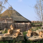 Terres des Lions