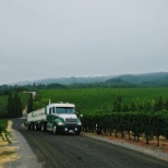 The first grapes picked in the North Coast were for sparkling!