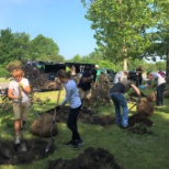 Plnating Trees for the Greening of Detroit