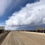 Feedlot Alley